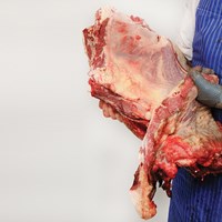 Meat Cut Spec Step 11